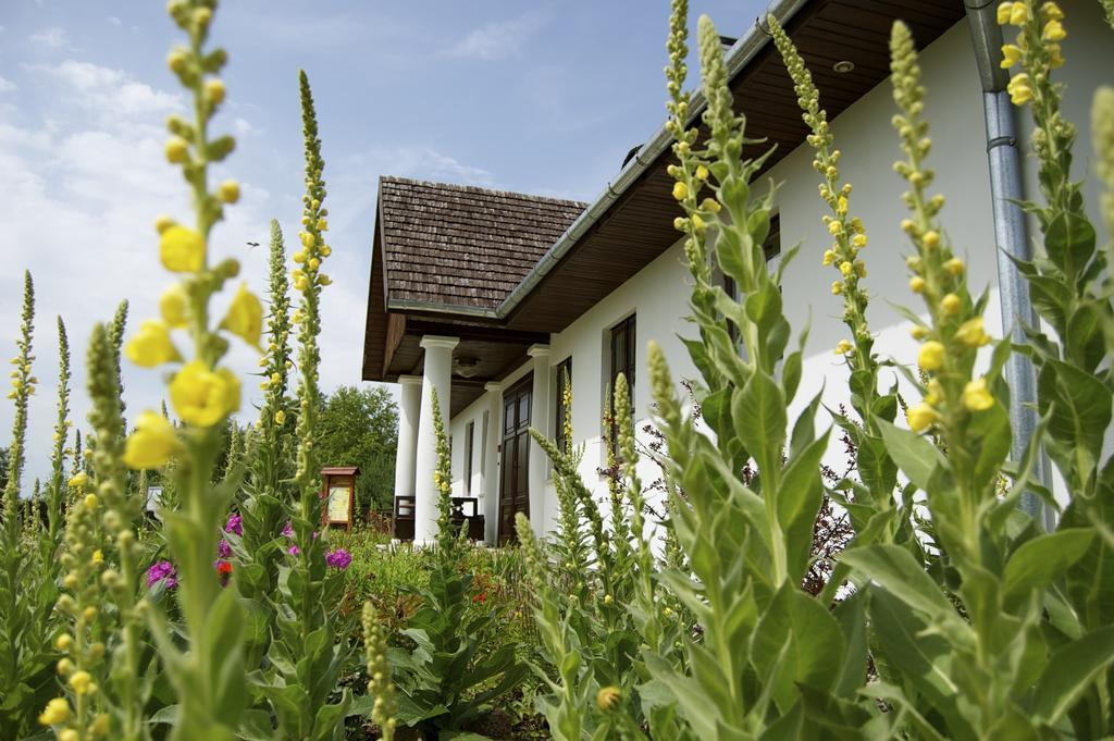 Zagrodowa Osada Villa Kazimierz Dolny Bagian luar foto