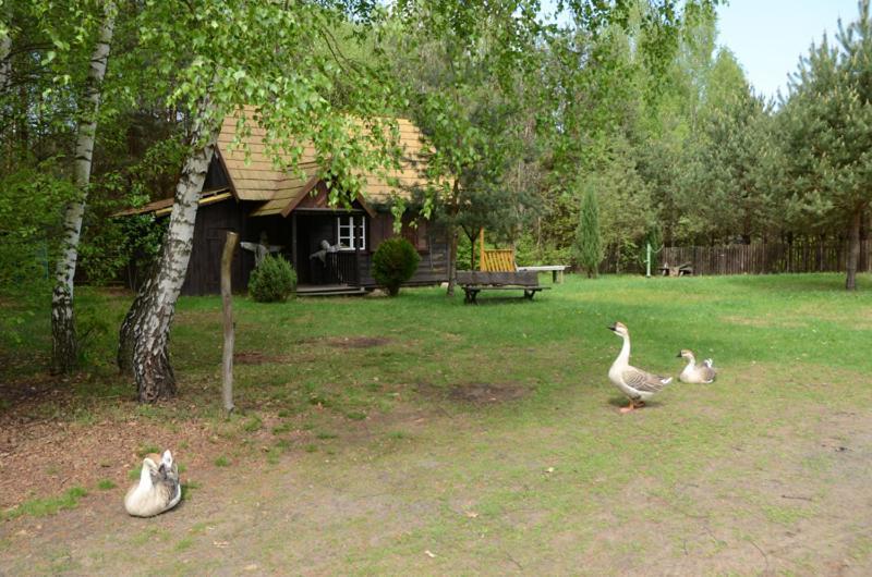 Zagrodowa Osada Villa Kazimierz Dolny Bagian luar foto